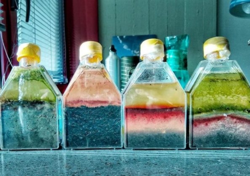 10 veces que las personas se inspiraron en la vida en las cosas cotidianas y las convirtieron en arte