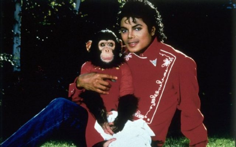 10 weird celebrity animals 10 weird celebrity animals