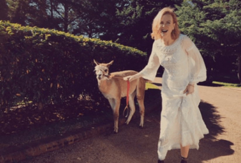 10 weird celebrity animals 10 weird celebrity animals