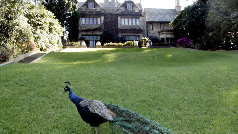 10 weird celebrity animals 10 weird celebrity animals