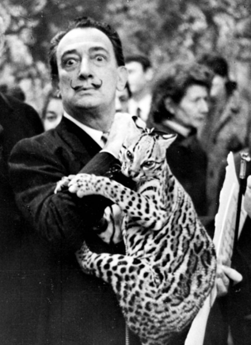 10 weird celebrity animals 10 weird celebrity animals