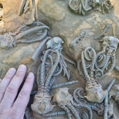 11 people showed us the other side of life, which not everyone saw