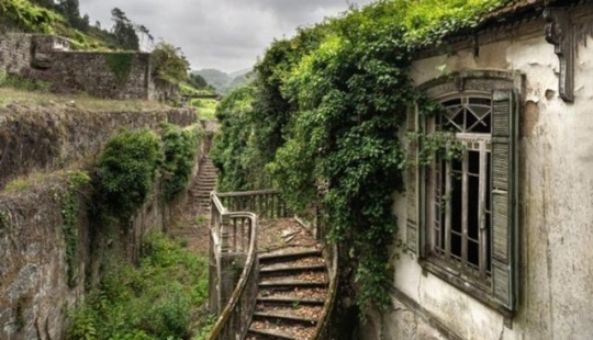11 photos of places where nature took control