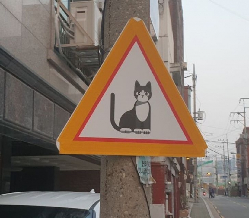 11 photos proving South Korea is a completely different world with its own rules