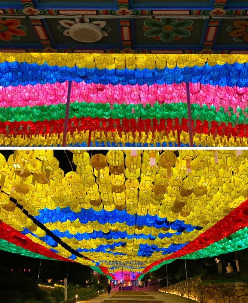 11 photos proving South Korea is a completely different world with its own rules