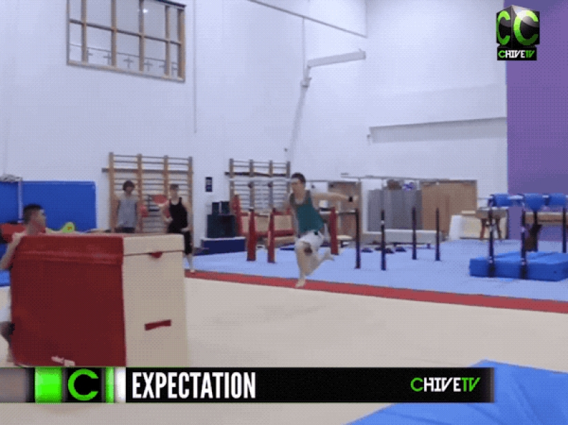 12 cases when expectation and reality are incredibly far from each other