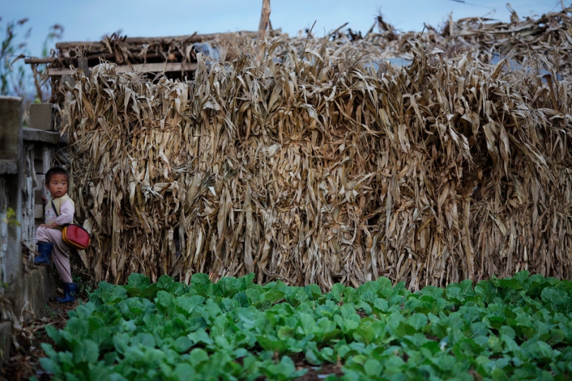 12 fotos de Corea del Norte que a Kim Jong-un no le gustaría mostrar