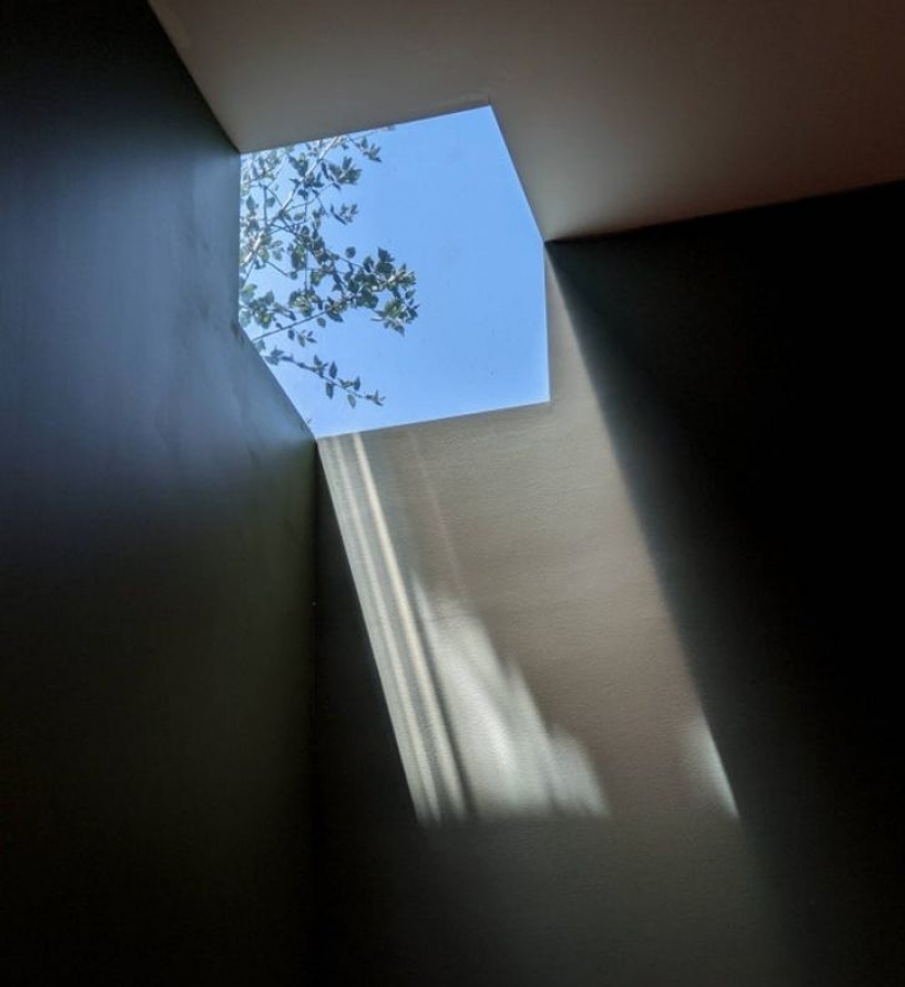 12 fotos que cuesta creer que son reales 12 fotos que cuesta creer que son reales