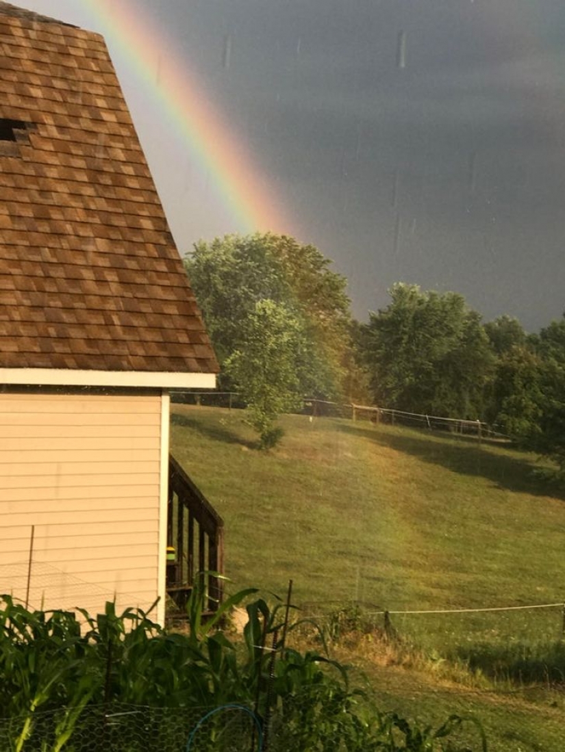 12 fotos que cuesta creer que son reales 12 fotos que cuesta creer que son reales