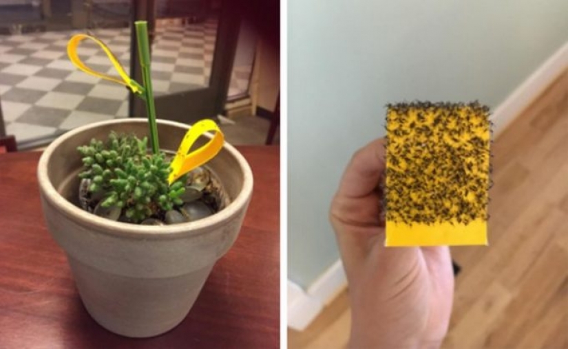 12 gadgets under $ 50 that can change your home for the better