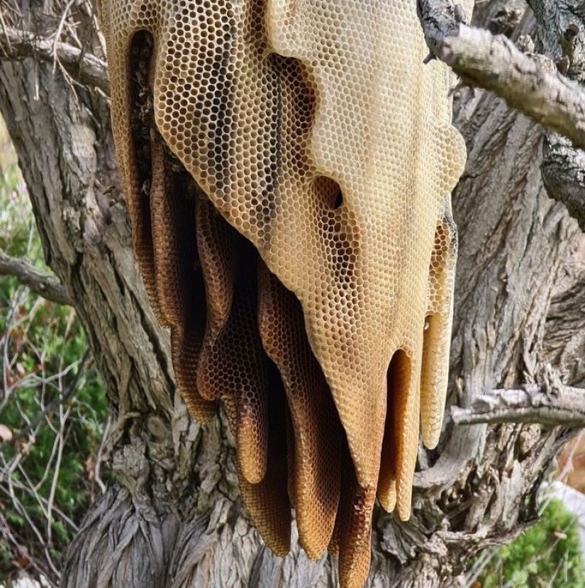 12 imágenes de la madre naturaleza que le hará preguntarse si son reales o no