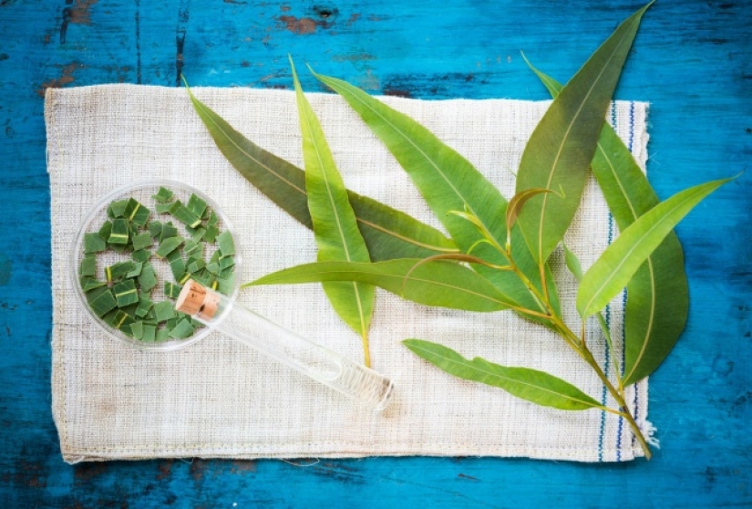 12 life hacks straight from Asia 12 life hacks straight from Asia