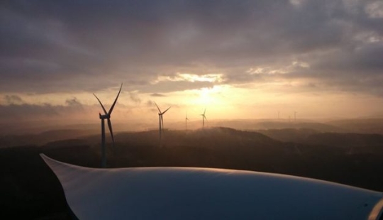 12 people showed the other side of their work