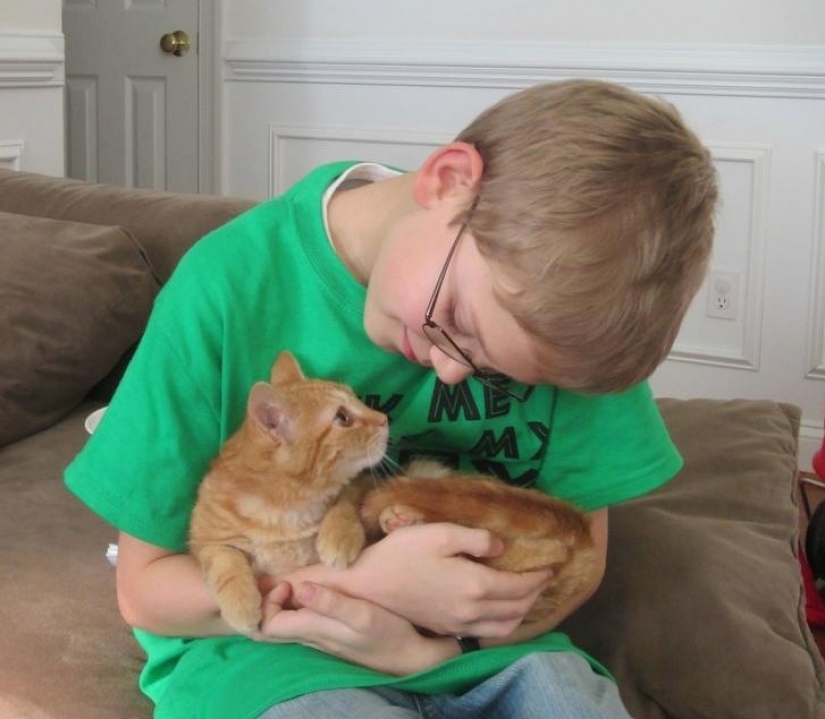 12 pets that are so shy that they make us want to hug them 12 pets that are so shy that they make us want to hug them