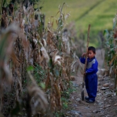 12 photos of North Korea that Kim Jong-un would not like to show