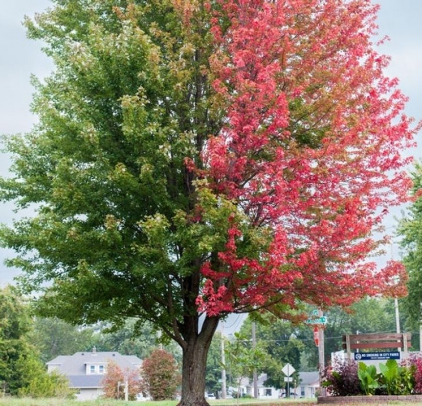 12 pictures of mother nature that will make you wonder if they are real or not