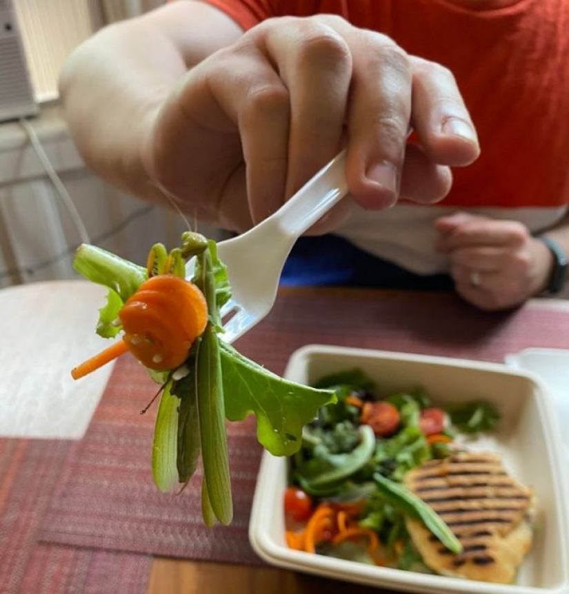 12 things that reveal their true nature in a couple of moments