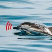 13 absurd facts that will unsettle you