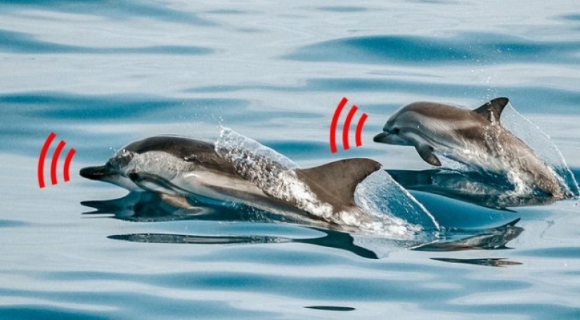 13 hechos absurdos que te inquietarán 13 hechos absurdos que te inquietarán