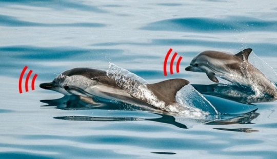 13 hechos absurdos que te inquietarán 13 hechos absurdos que te inquietarán