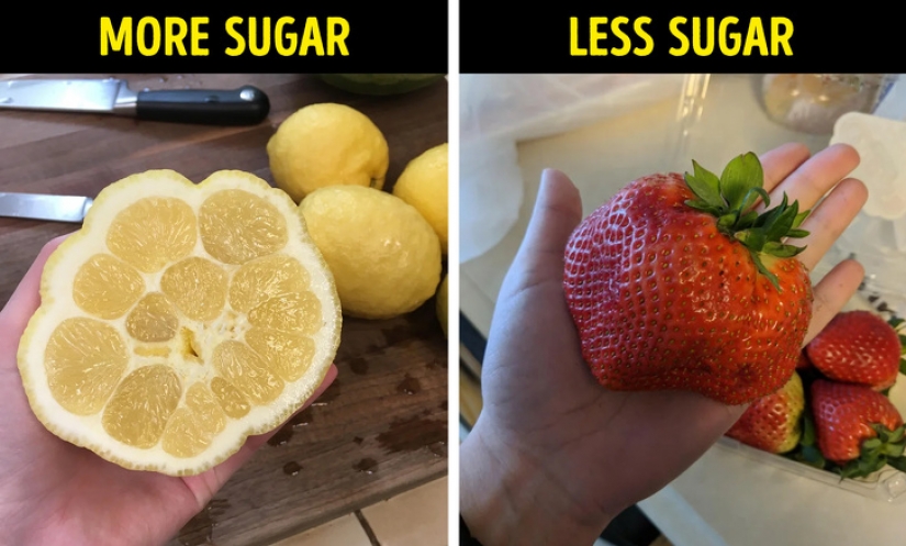 13 hechos absurdos que te inquietarán 13 hechos absurdos que te inquietarán