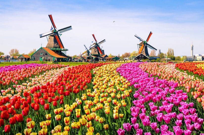 13 impresionantes fotos de lugares coloridos en Europa