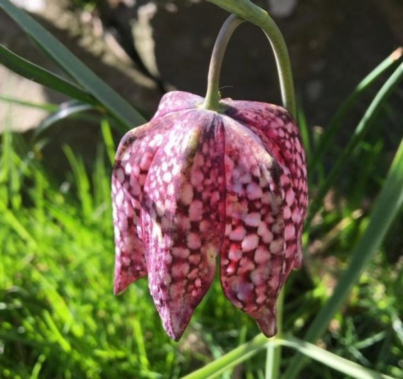 13 people shared their findings, which eventually became startling discoveries