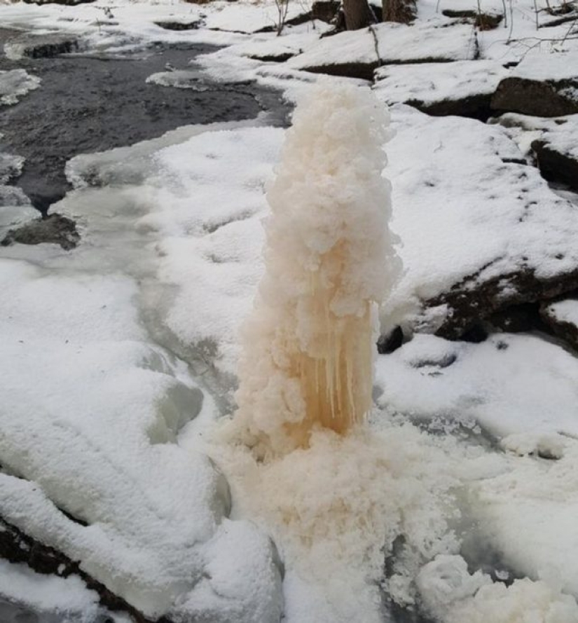 13 people shared their findings, which eventually became startling discoveries