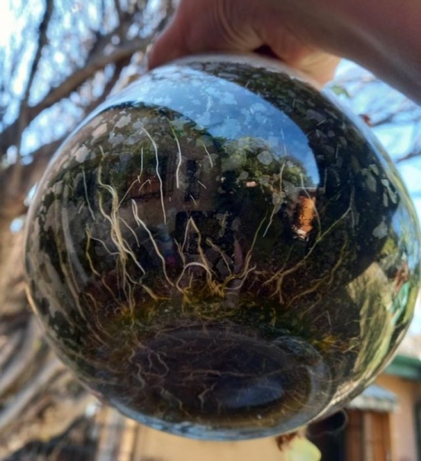 13 people shared their findings, which eventually became startling discoveries