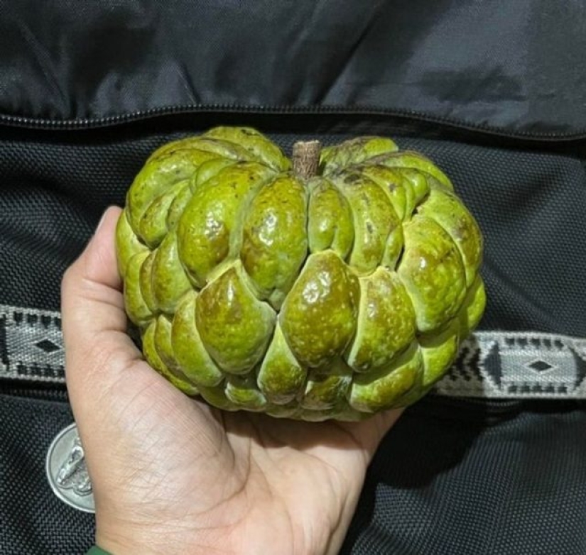 13 personas compartieron sus hallazgos, que eventualmente se convirtieron en descubrimientos sorprendentes