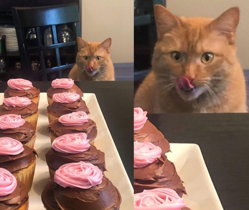 13 photos guaranteed to put a smile on your face