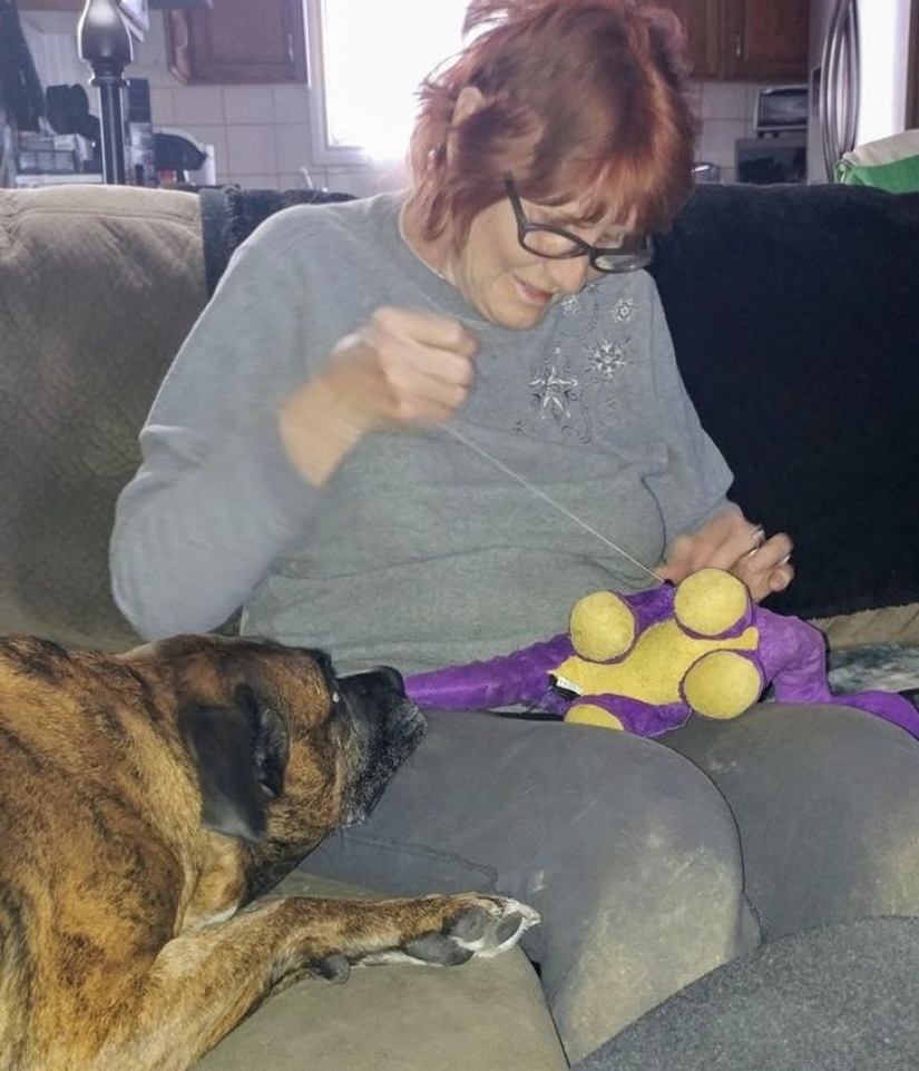 13 photos guaranteed to put a smile on your face