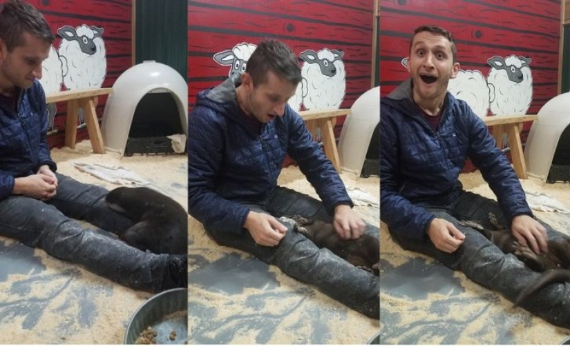13 photos guaranteed to put a smile on your face
