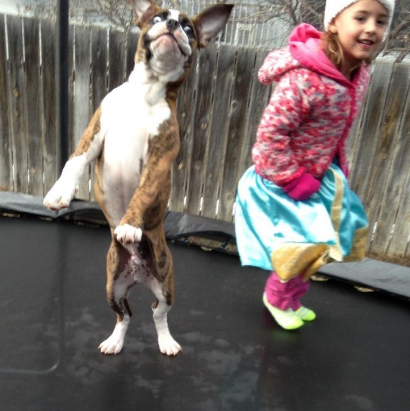 13 photos guaranteed to put a smile on your face