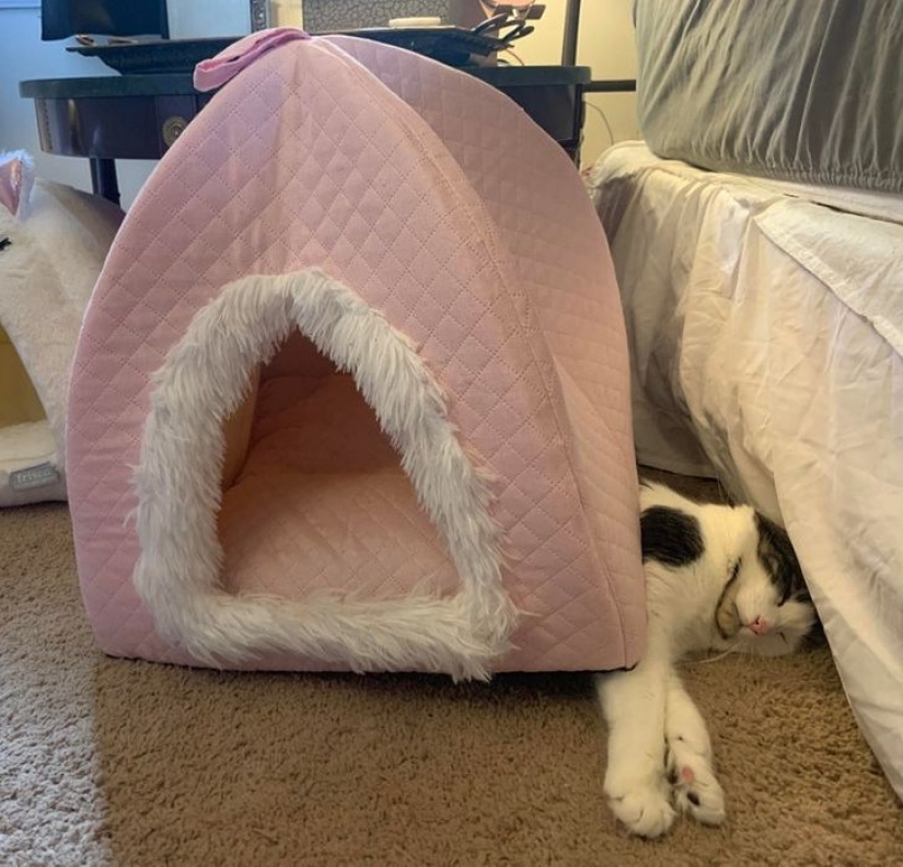 13 photos guaranteed to put a smile on your face