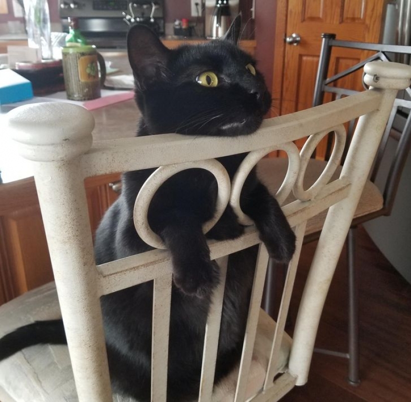 13 photos guaranteed to put a smile on your face