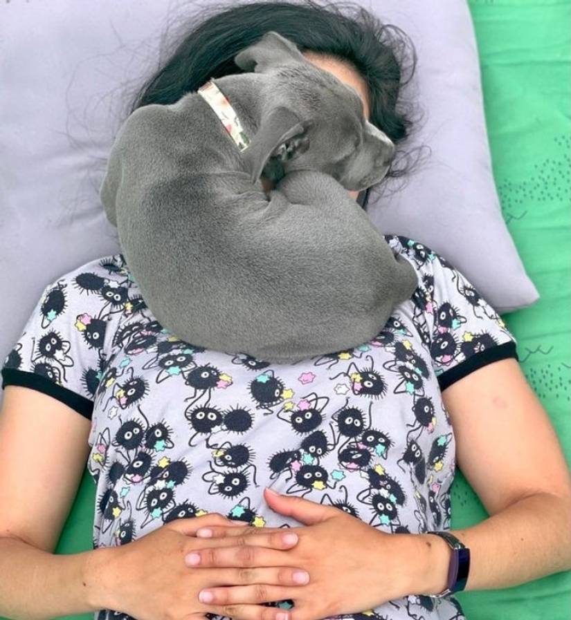 13 photos guaranteed to put a smile on your face