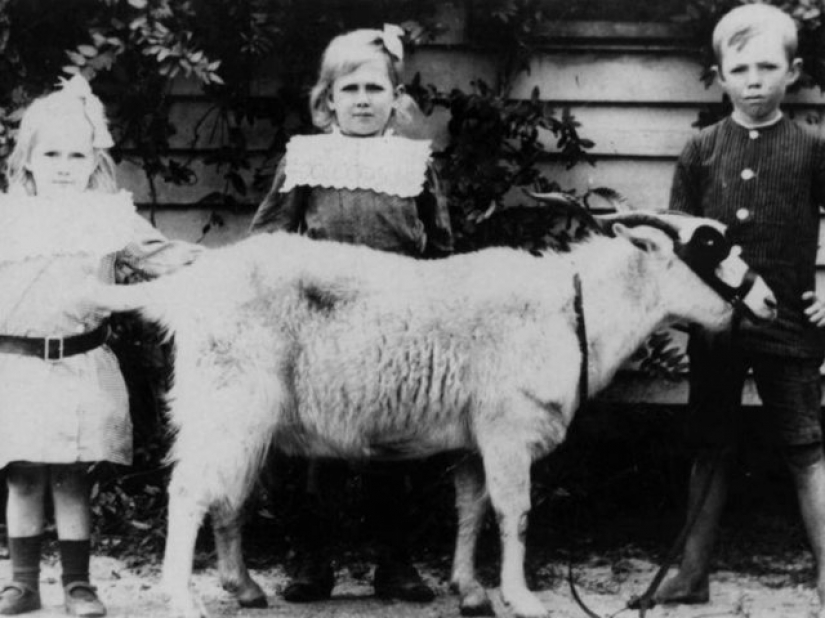 13 señales que dicen que eres más inteligente de lo que piensas