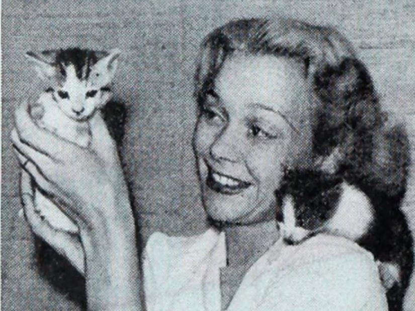 13 señales que dicen que eres más inteligente de lo que piensas