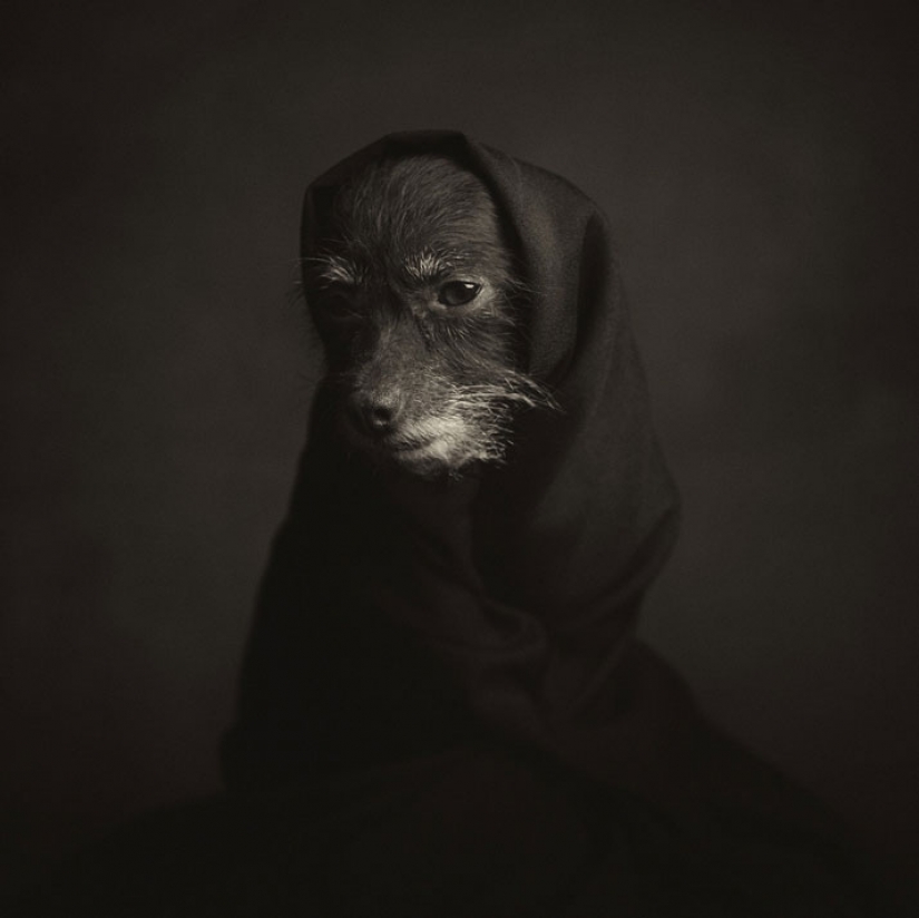 13 stunning animal portraits with "human" emotions