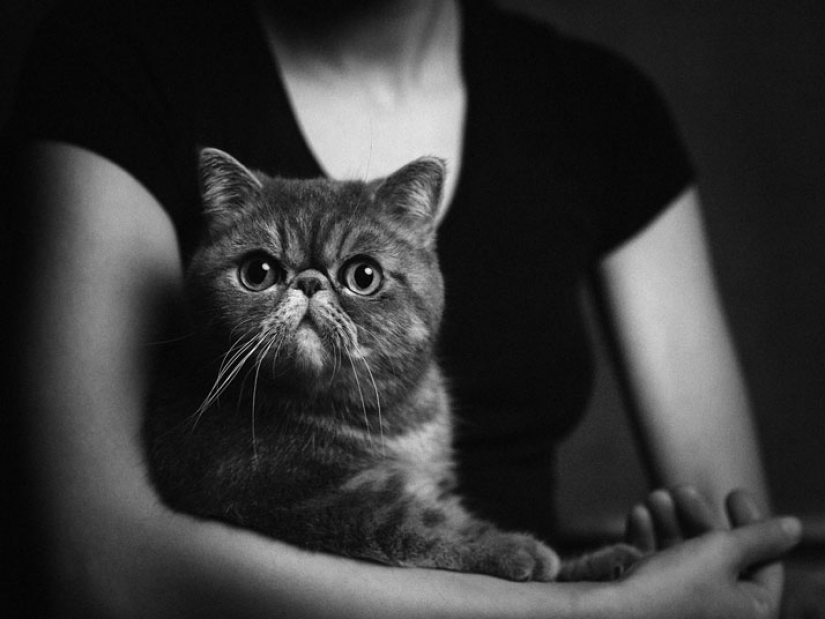 13 stunning animal portraits with "human" emotions