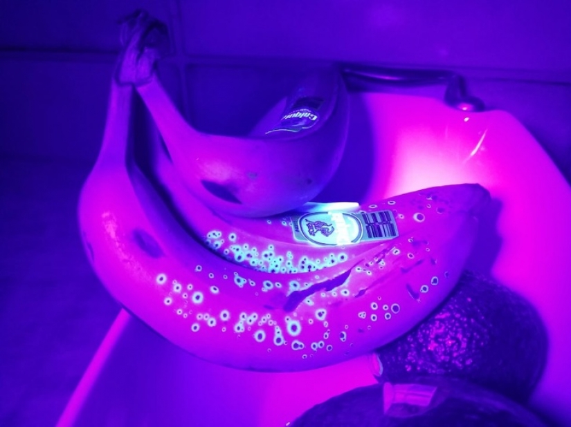 14 cosas que pierden su apariencia normal bajo la luz ultravioleta