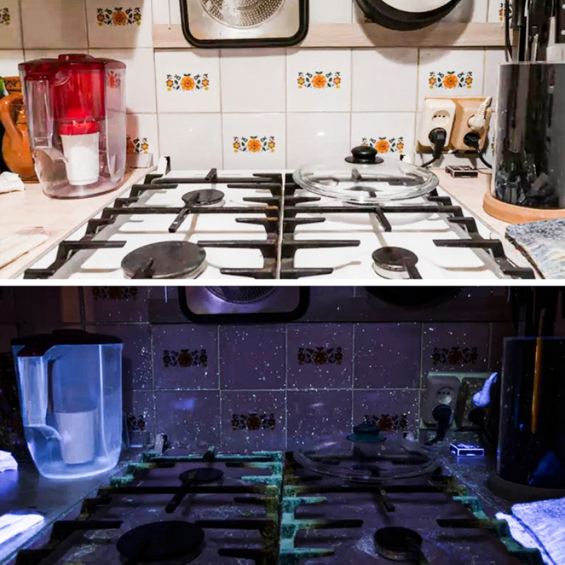 14 cosas que pierden su apariencia normal bajo la luz ultravioleta