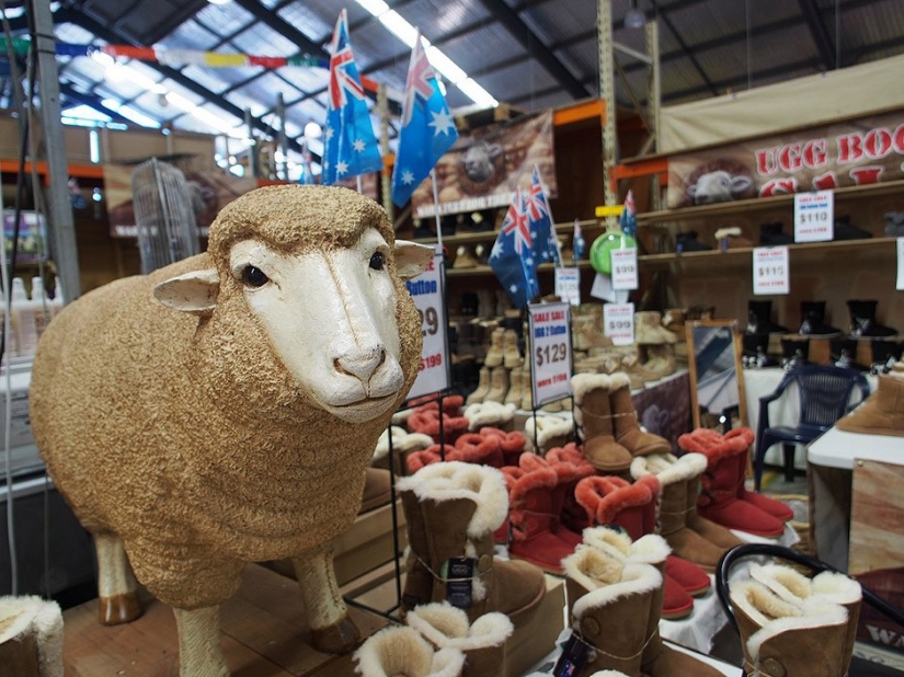 14 datos sobre Australia que lo más probable es que no sabía 14 datos sobre Australia que lo más probable es que no sabía