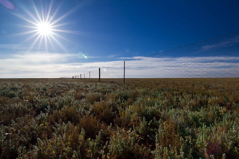 14 datos sobre Australia que lo más probable es que no sabía 14 datos sobre Australia que lo más probable es que no sabía