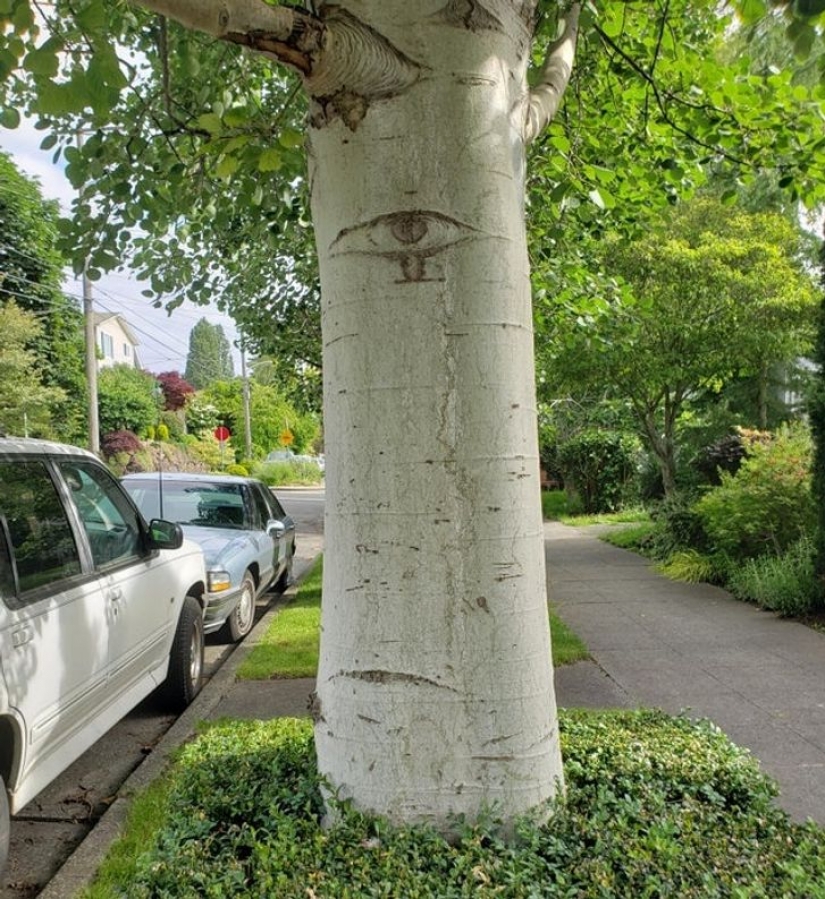 14 ocasiones en las que las cosas corrientes nos dijeron: "La vida es bella" 14 ocasiones en las que las cosas corrientes nos dijeron: "La vida es bella"