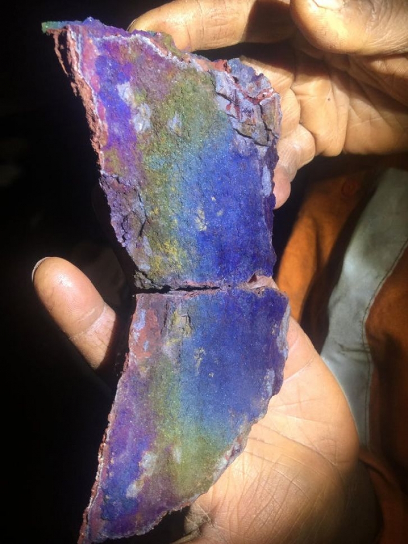 14 ocasiones en las que las cosas corrientes nos dijeron: "La vida es bella" 14 ocasiones en las que las cosas corrientes nos dijeron: "La vida es bella"