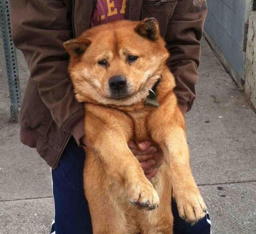 14 pets whose middle name is "drama"