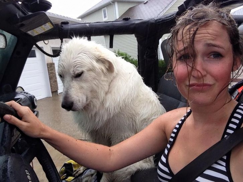 14 pets whose middle name is "drama"