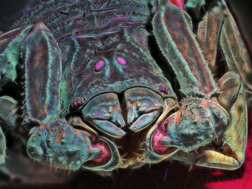 14 things that lose their normal appearance under ultraviolet light